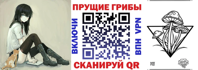 Псилоцибиновые грибы Psilocybe что такое наркотик Новоаннинский